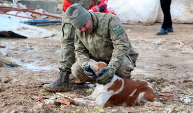 Malatyalı depremzede, av köpeği “Alex” ile kurtarma çalışmalarına katılıyor