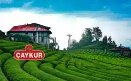 Çaykur İşçi Alımı 2023 Başvuru