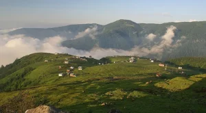 Rize
