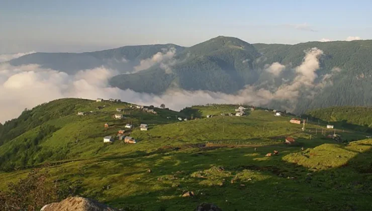 Rize’nin en doğal yerinden sadece biri: Hazindak Yaylası
