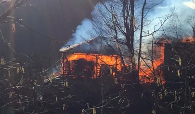 Giresun’da çıkan yangın maddi hasara neden oldu