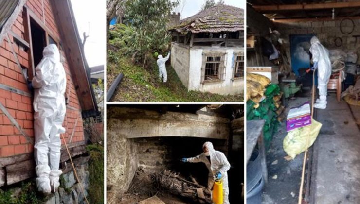 Rize’de Kahverengi Kokarca ile Mücadele Çalışmaları Devam Ediyor