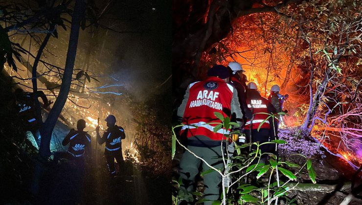 Rize’de anız yangını ormana sıçradı; 15 dönüm alan zarar gördü