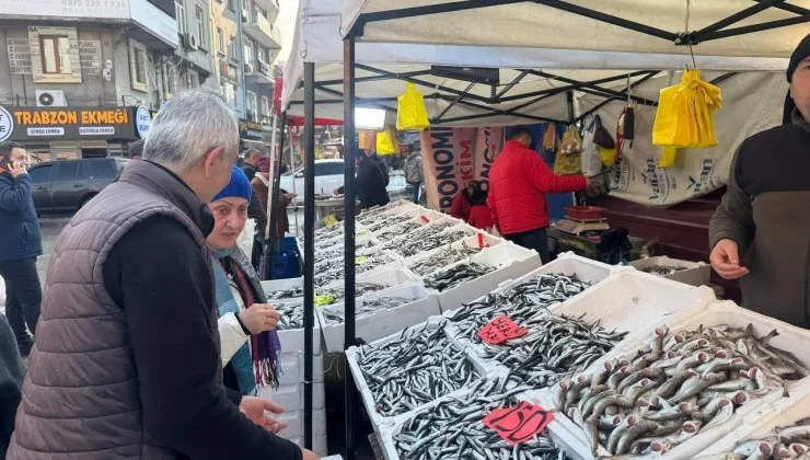 Hamsinin fiyatı düştü, vatandaş yoğun ilgi gösterdi