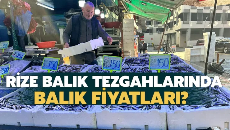 Rize Balık Tezgahlarında Balık Fiyatları?