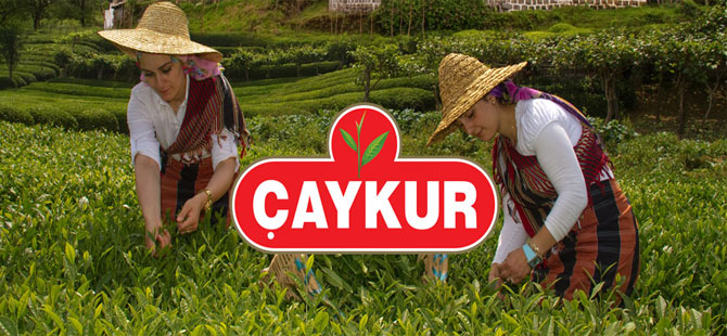 ÇAYKUR’dan 1500 Kişiye İş Fırsatı! Bayram Sonrası Başvurular Başlıyor