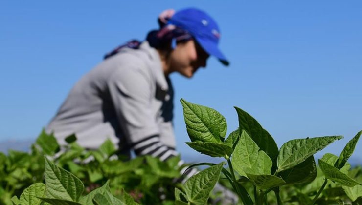 TKDK’den Trabzon’daki 27 projeye 387 milyon lira hibe desteği