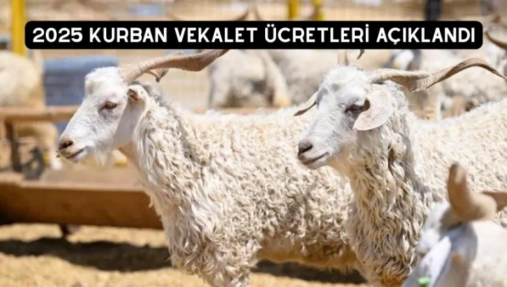 2025 Kurban vekalet ücretleri açıklandı