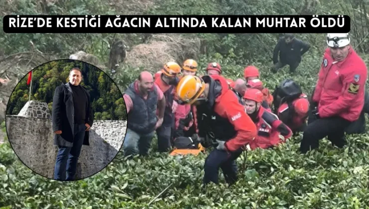Rize’de kestiği ağacın altında kalan muhtar öldü