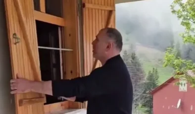 Aç kalan ayılar, belediye başkanının yayla evine girdi