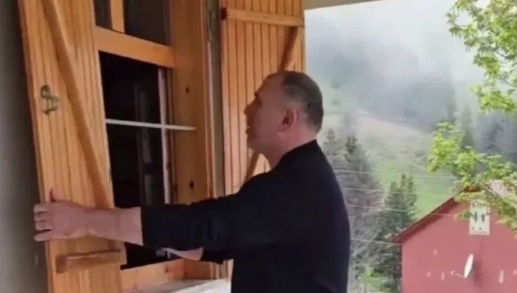 Aç kalan ayılar, belediye başkanının yayla evine girdi