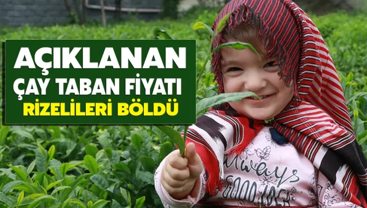 Açıklanan çay taban fiyatı Rizelileri böldü