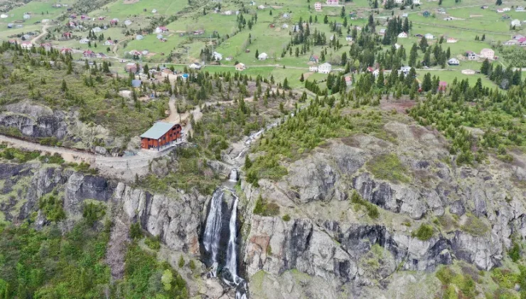 Akarsuları canlanan Sis Dağı Yaylası çiçeklerle renklendi