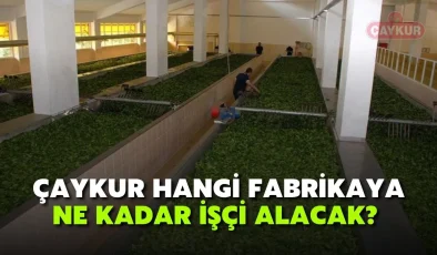 ÇAYKUR’da Hangi Fabrikaya Ne Kadar İşçi Alınacak?
