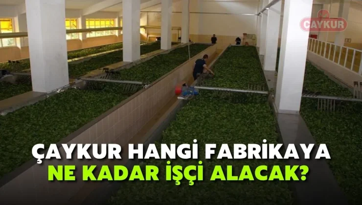 ÇAYKUR’da Hangi Fabrikaya Ne Kadar İşçi Alınacak?