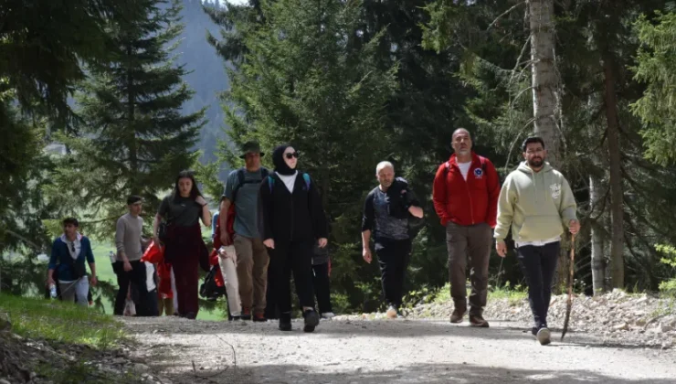 Gümüşhane yaylaları doğaseverleri ağırlamaya başladı