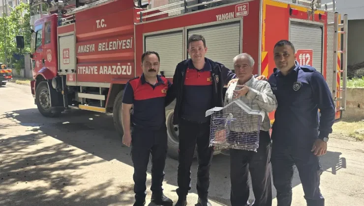 Kaçan muhabbet kuşunu yakalamak istedi, ağaçta mahsur kaldı