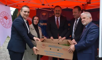 Trabzon’da üreticilere 260 bin sebze fidesi dağıtıldı