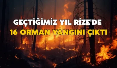 Geçtiğimiz yıl Rize’de 16 orman yangını çıktı
