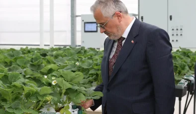 Bafra Sera OSB 1500 kişiye iş imkanı sağlayacak