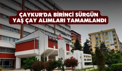 ÇAYKUR’da birinci sürgün yaş çay alımları tamamlandı