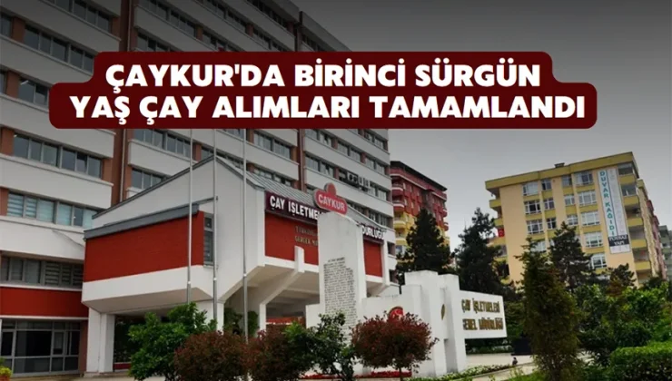 ÇAYKUR’da birinci sürgün yaş çay alımları tamamlandı