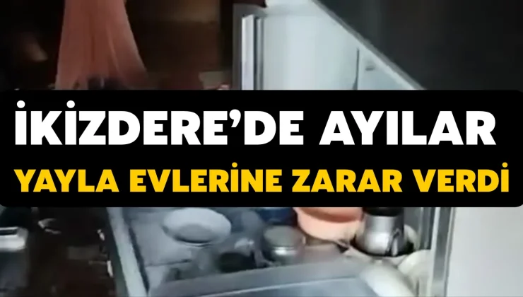 İkizdere’de Ayılar Yayla Evlerine Zarar Verdi