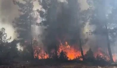 Karabük’te orman yangını 45 dakikada söndürüldü
