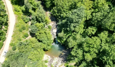 Küre Dağları Milli Parkı’nın eteğindeki Gölderesi Şelalesi dron ile görüntülendi