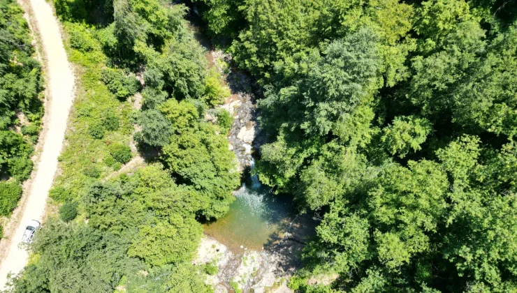 Küre Dağları Milli Parkı’nın eteğindeki Gölderesi Şelalesi dron ile görüntülendi