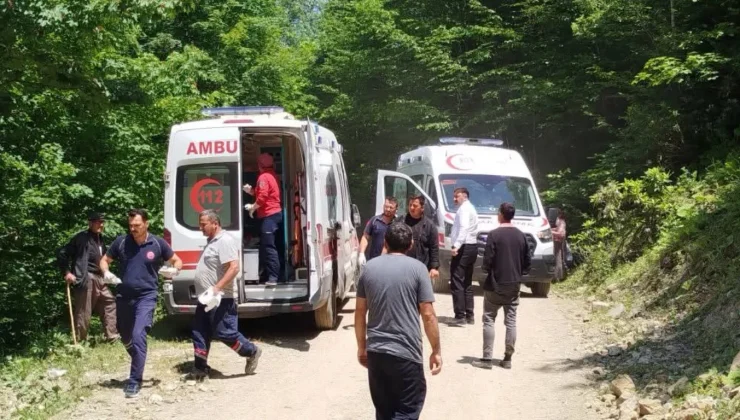 Otomobil uçuruma yuvarlandı: 3 yaralı