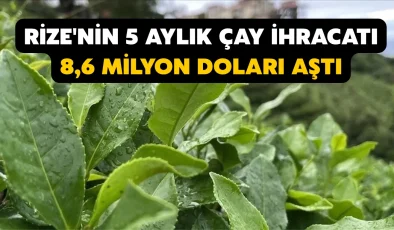 Rize’nin 5 aylık çay ihracatı 8,6 milyon doları aştı
