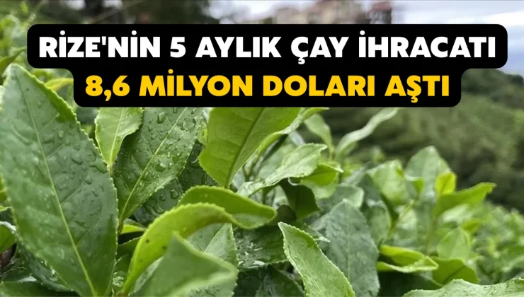 Rize’nin 5 aylık çay ihracatı 8,6 milyon doları aştı