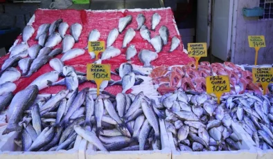 Somon en çok tercih edilen balık