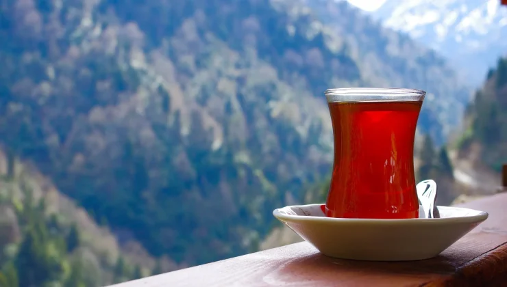 Türkiye, Dünya Çay İhracatında Kaçıncı Sırada?