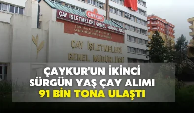 ÇAYKUR’un ikinci sürgün yaş çay alımı 91 bin tona ulaştı