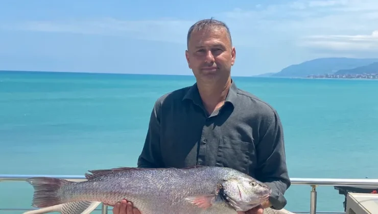 Sinop’ta 6,5 kilogramlık beyaz kötek balığı avlandı