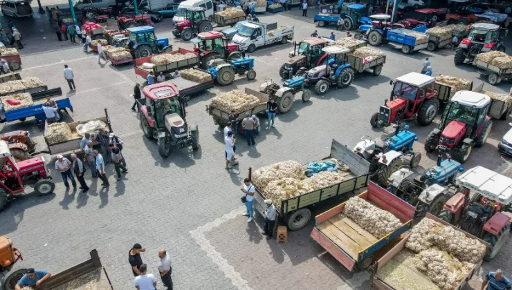 Taşköprü sarımsak pazarında yoğunluk yaşanıyor