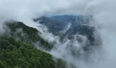 Trabzon’un “Hıdırnebi Yaylası” sis altındaki güzelliğiyle ziyaretçilerini karşılıyor