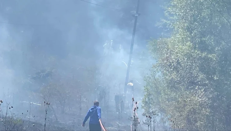 Bolu’da orman yangını, kısa sürede kontrol altına alındı