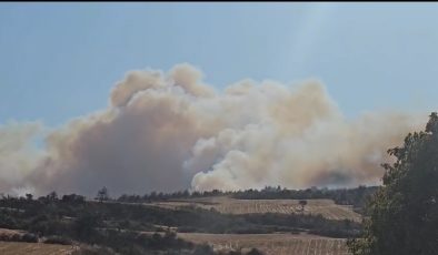 Gelibolu’da orman yangınına havadan ve karadan müdahale ediliyor