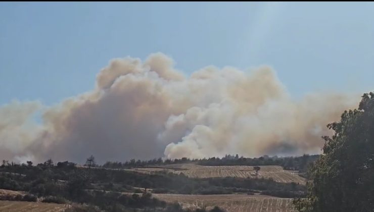 Gelibolu’da orman yangınına havadan ve karadan müdahale ediliyor