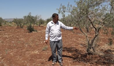 Kilis’te tarım arazileri susuz kaldı