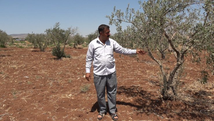 Kilis’te tarım arazileri susuz kaldı