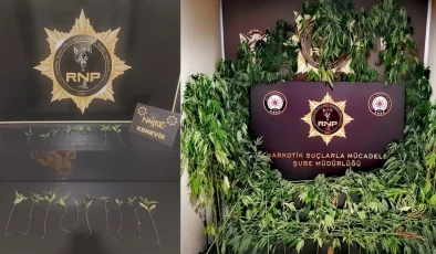 Rize’deki Uyuşturucu Operasyonlarında 2 Kişi Tutuklandı
