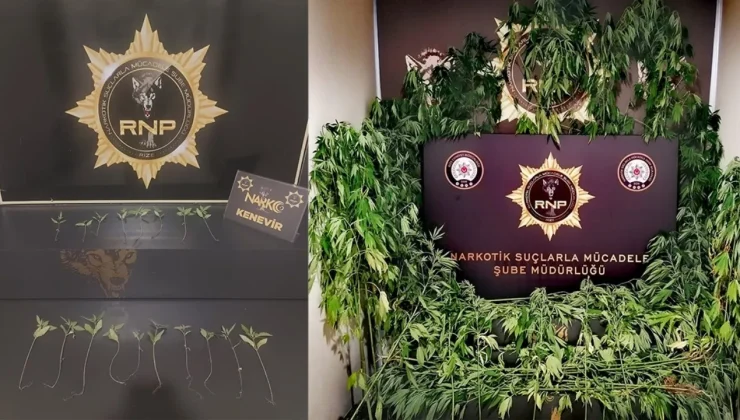 Rize’deki Uyuşturucu Operasyonlarında 2 Kişi Tutuklandı