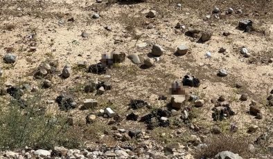 Yüksekova’da mezarlık yanına bırakılan bira şişeleri tepki topladı