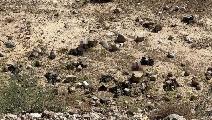 Yüksekova’da mezarlık yanına bırakılan bira şişeleri tepki topladı